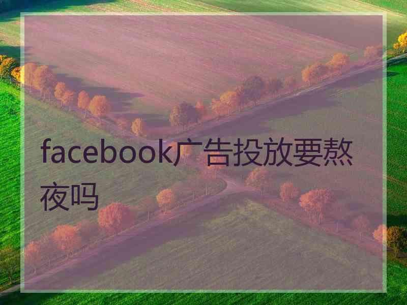 facebook广告投放要熬夜吗