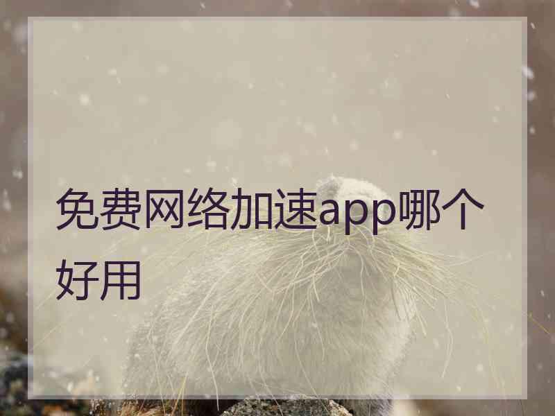 免费网络加速app哪个好用