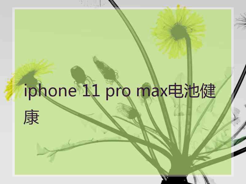 iphone 11 pro max电池健康