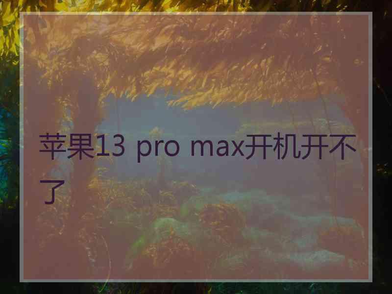 苹果13 pro max开机开不了