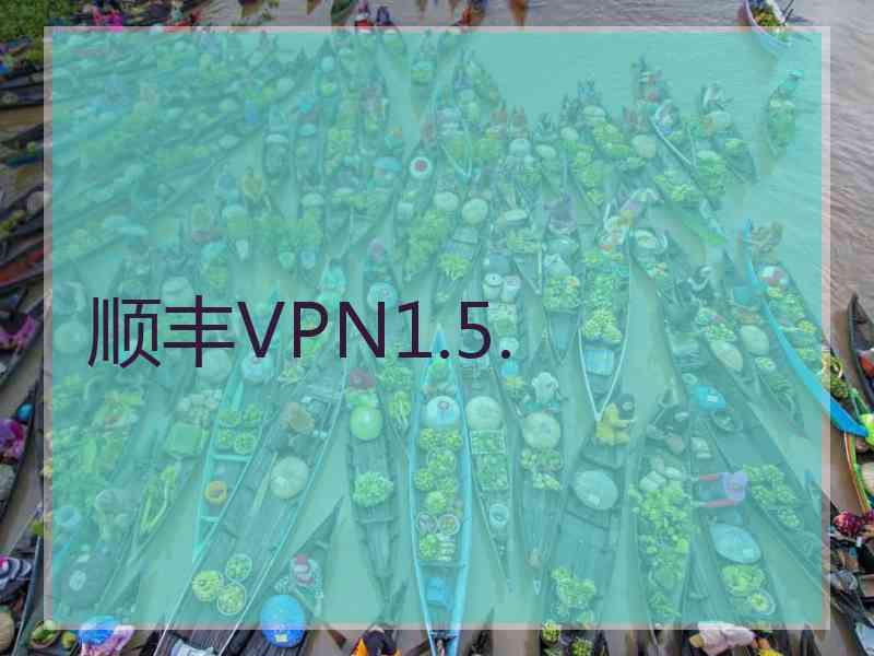 顺丰VPN1.5.