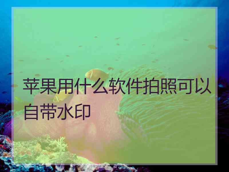 苹果用什么软件拍照可以自带水印