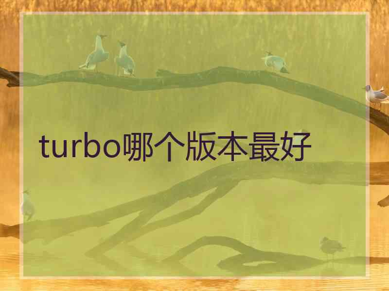 turbo哪个版本最好