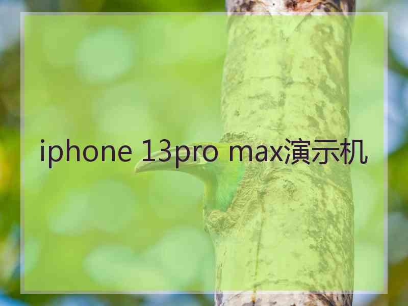 iphone 13pro max演示机