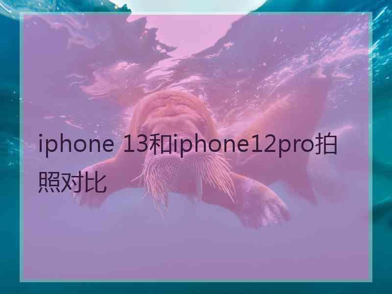 iphone 13和iphone12pro拍照对比