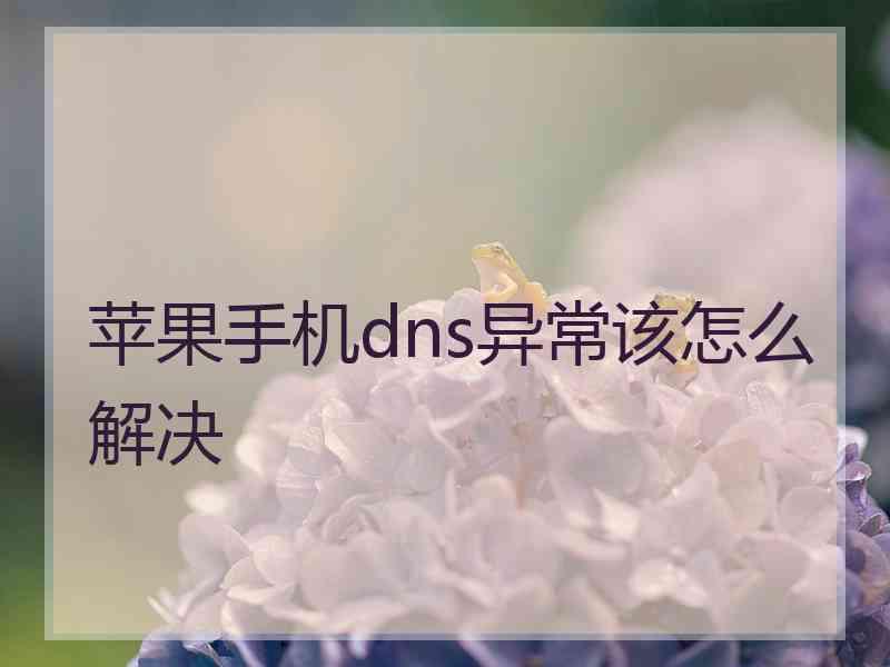 苹果手机dns异常该怎么解决