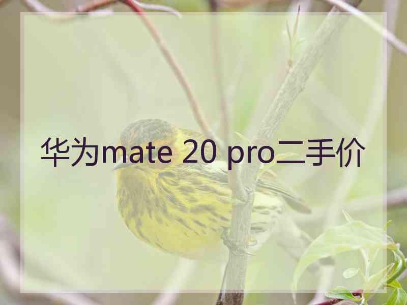 华为mate 20 pro二手价