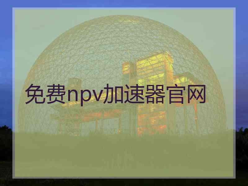 免费npv加速器官网