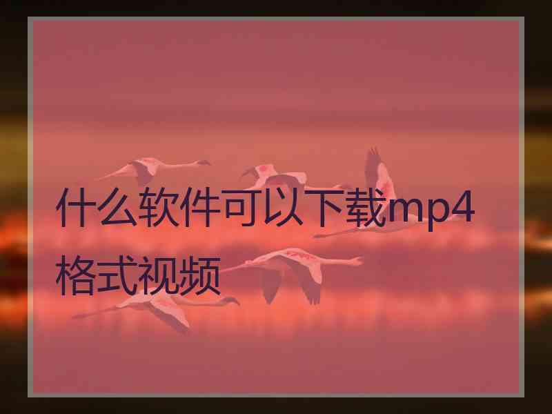 什么软件可以下载mp4格式视频