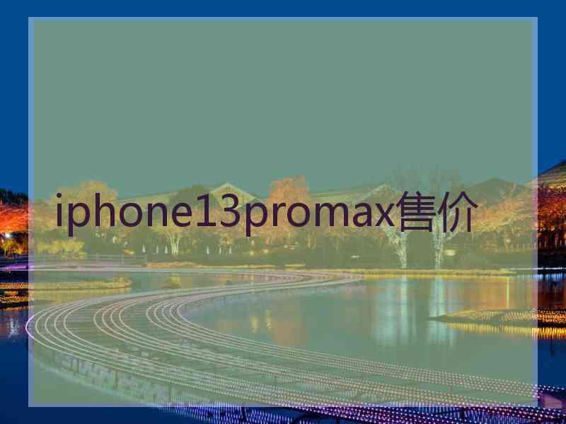 iphone13promax售价