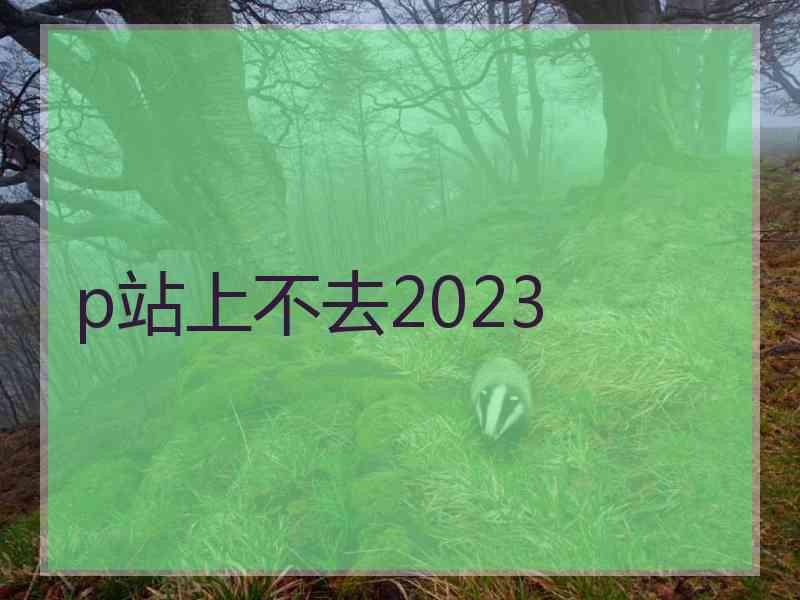 p站上不去2023