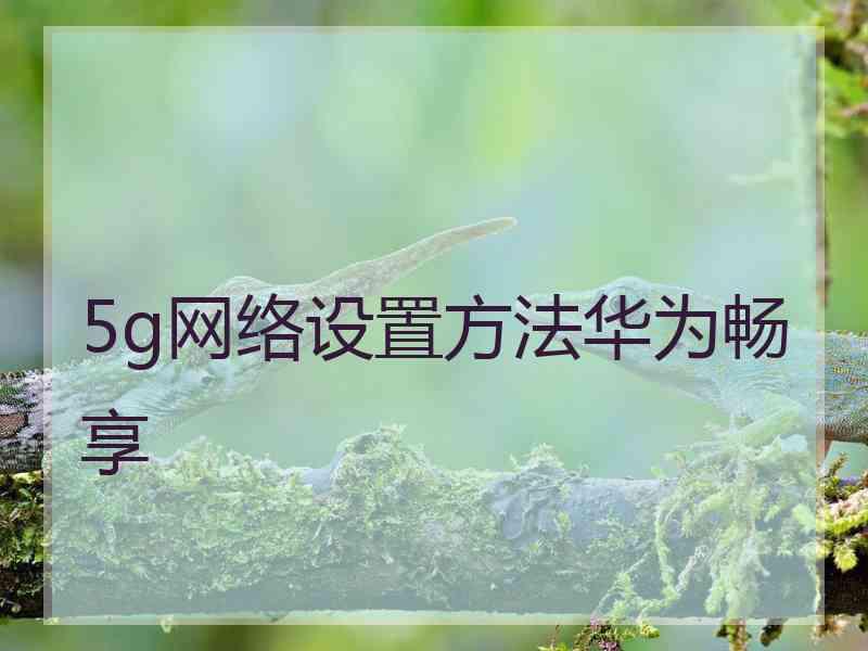 5g网络设置方法华为畅享