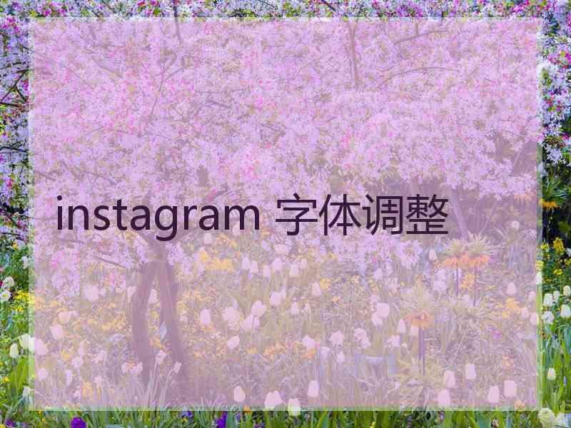 instagram 字体调整