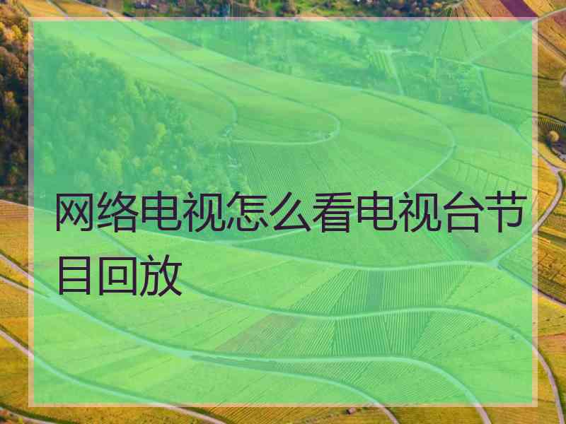 网络电视怎么看电视台节目回放