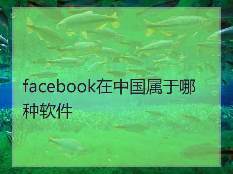 facebook在中国属于哪种软件