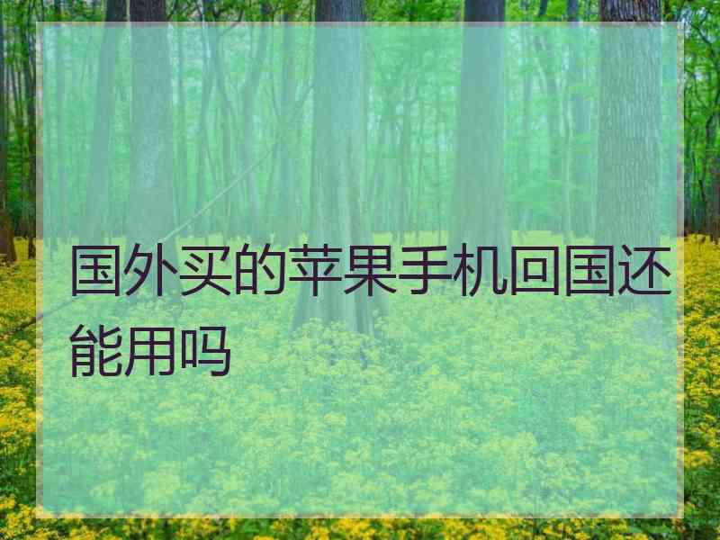 国外买的苹果手机回国还能用吗