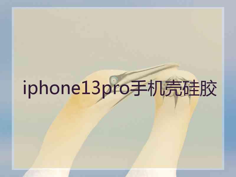 iphone13pro手机壳硅胶