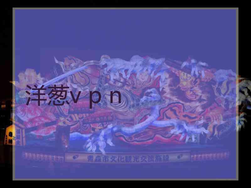 洋葱v p n