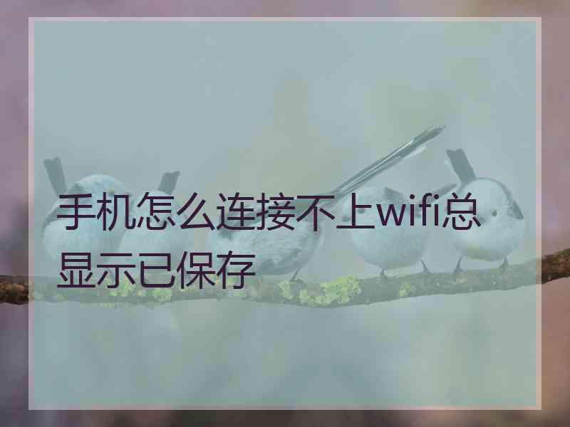 手机怎么连接不上wifi总显示已保存