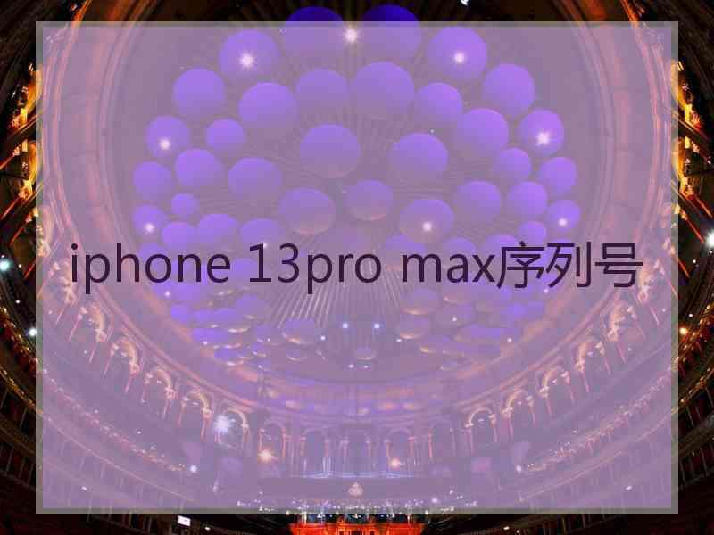 iphone 13pro max序列号