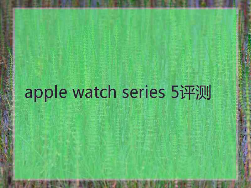 apple watch series 5评测