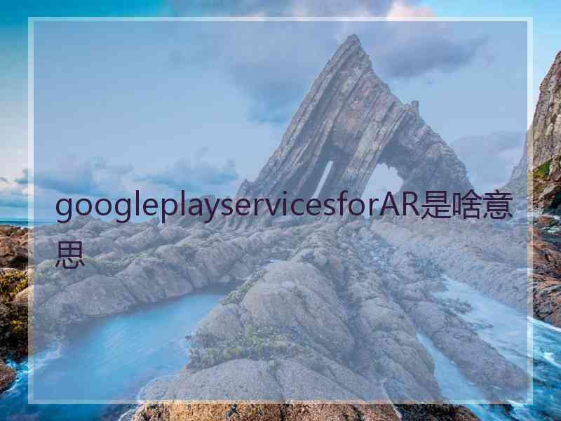 googleplayservicesforAR是啥意思