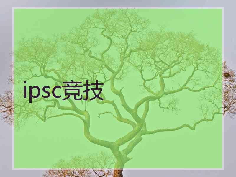 ipsc竞技