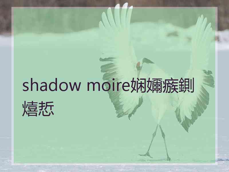 shadow moire娴嬭瘯鍘熺悊