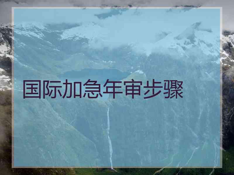 国际加急年审步骤