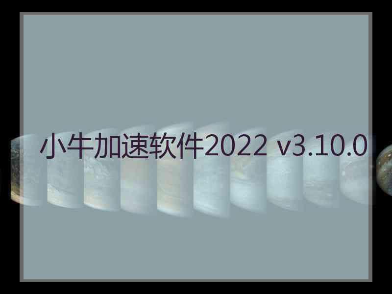 小牛加速软件2022 v3.10.0