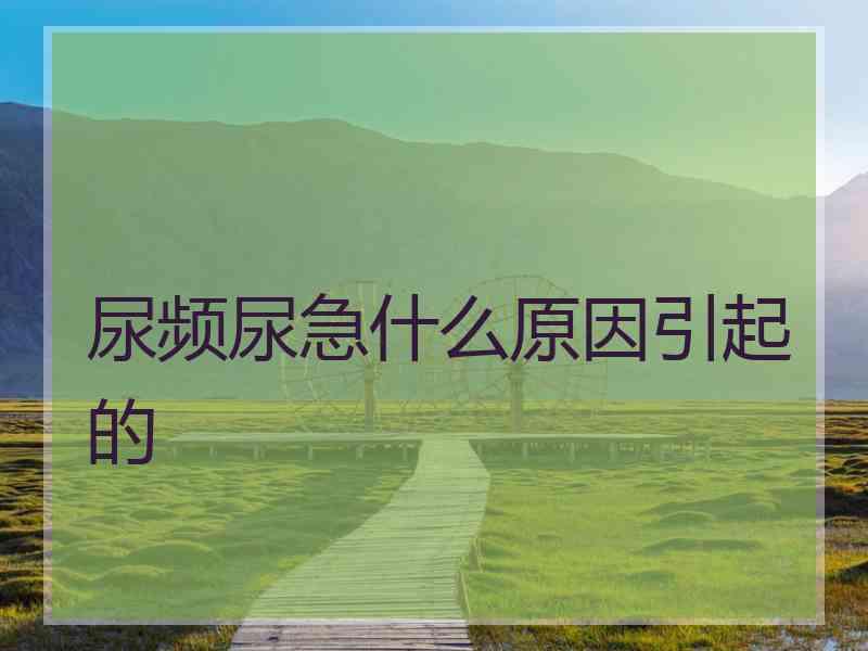 尿频尿急什么原因引起的