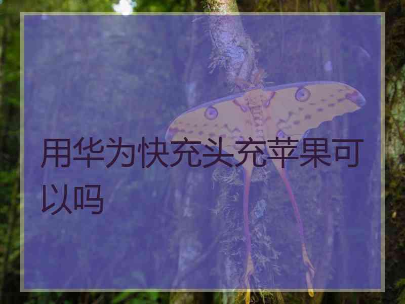 用华为快充头充苹果可以吗