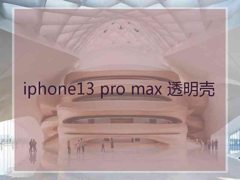 iphone13 pro max 透明壳