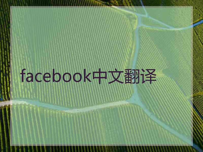 facebook中文翻译