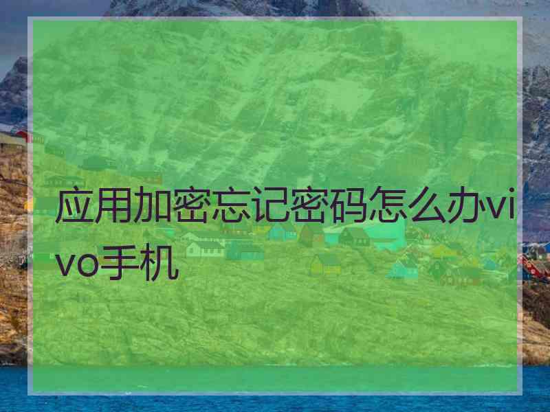 应用加密忘记密码怎么办vivo手机