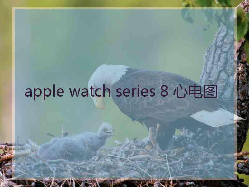 apple watch series 8 心电图