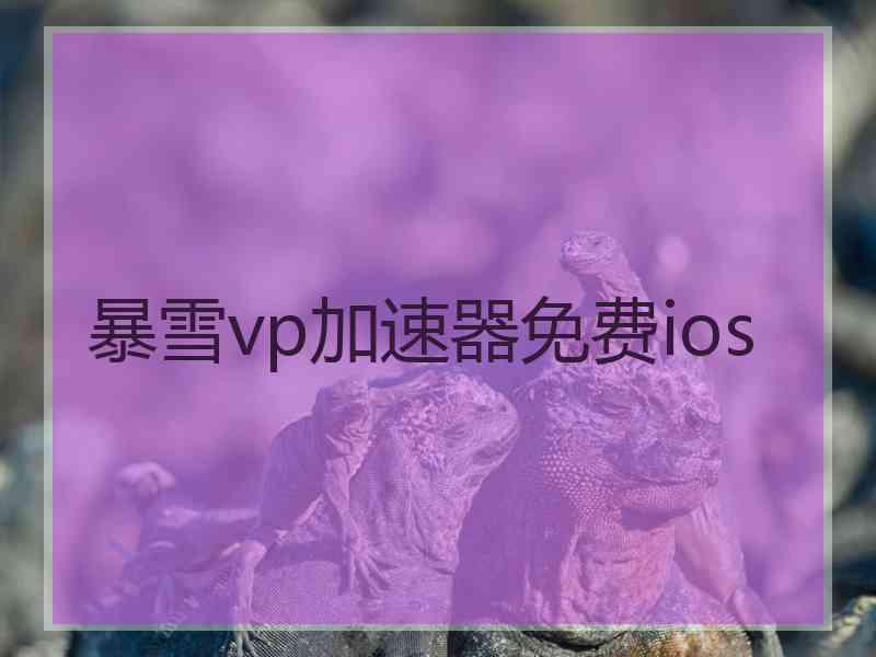 暴雪vp加速器免费ios