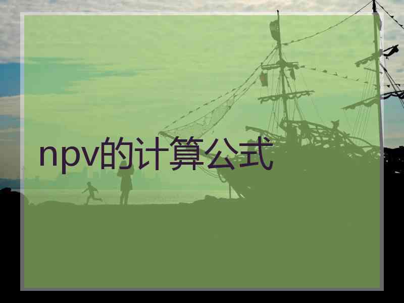 npv的计算公式