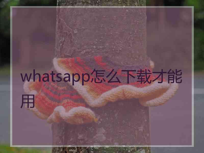 whatsapp怎么下载才能用