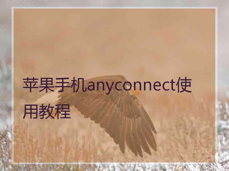 苹果手机anyconnect使用教程