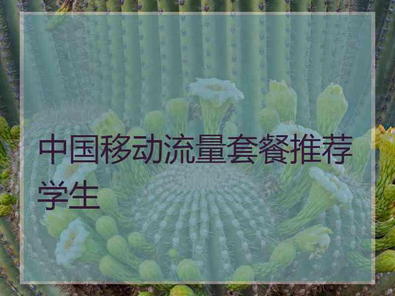 中国移动流量套餐推荐学生