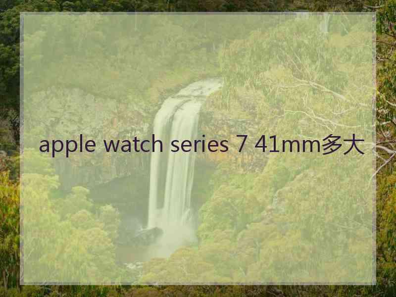 apple watch series 7 41mm多大