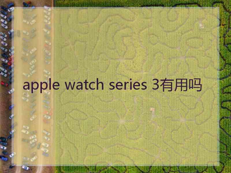 apple watch series 3有用吗