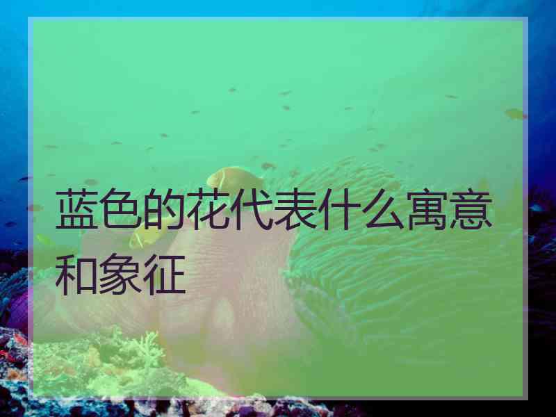 蓝色的花代表什么寓意和象征