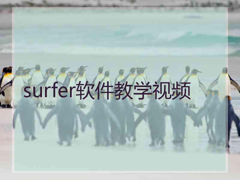 surfer软件教学视频