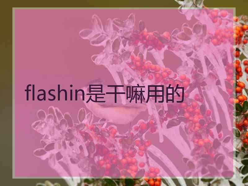 flashin是干嘛用的