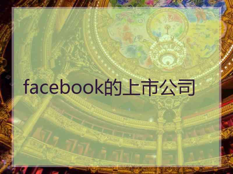 facebook的上市公司