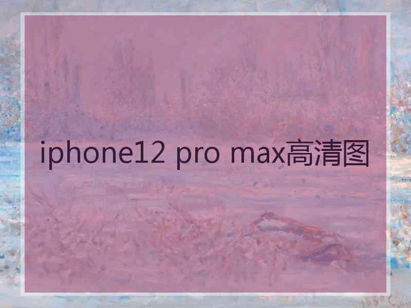 iphone12 pro max高清图