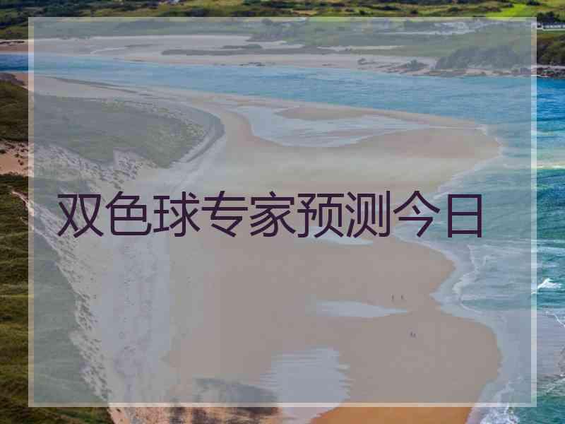 双色球专家预测今日
