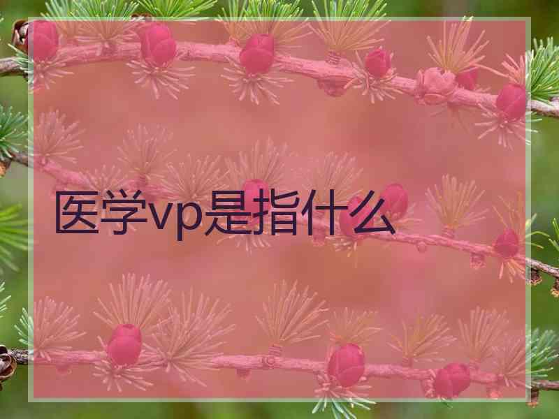 医学vp是指什么